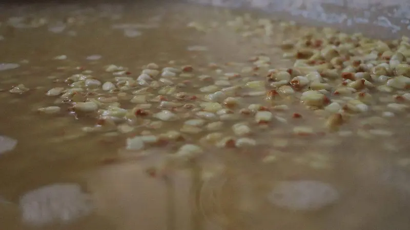 Tortilla